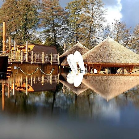 Vila Rozalia Garden Gate Avrig Zewnętrze zdjęcie