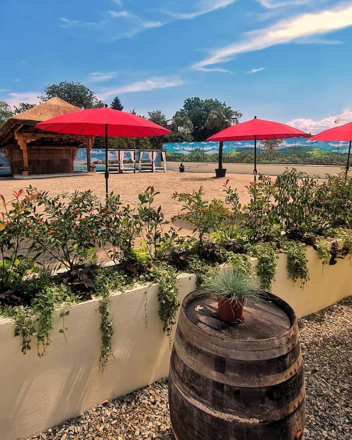 Vila Rozalia Garden Gate Avrig Zewnętrze zdjęcie