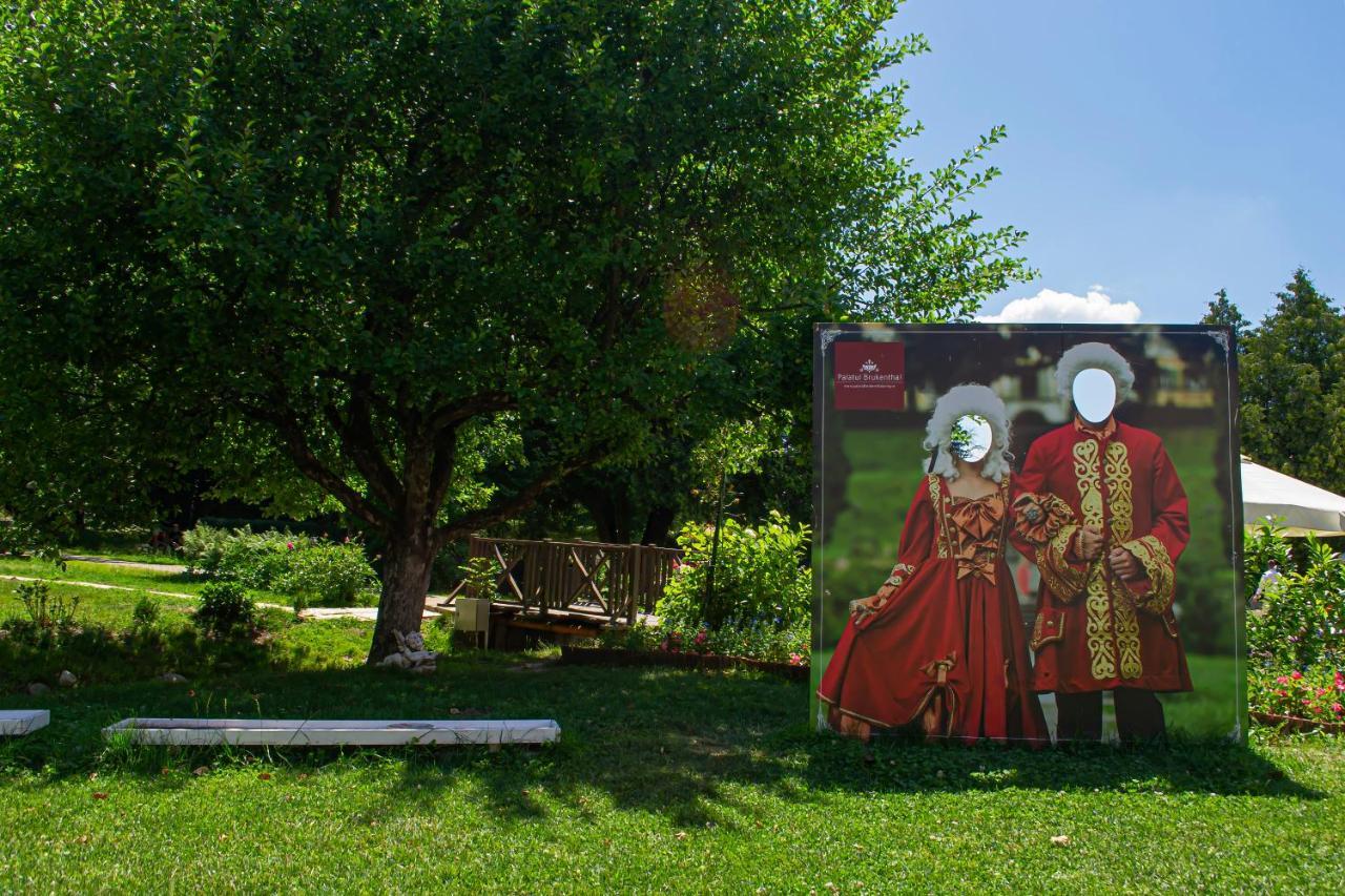 Vila Rozalia Garden Gate Avrig Zewnętrze zdjęcie