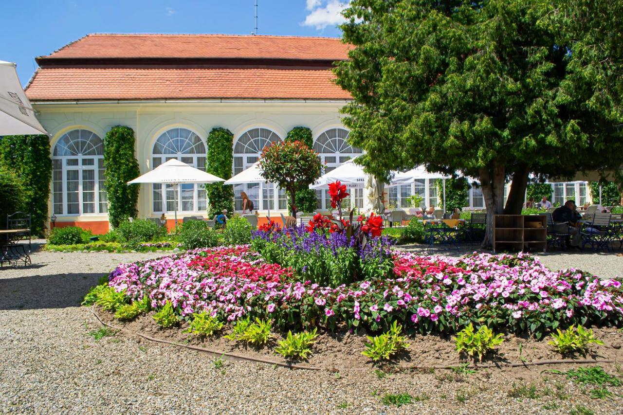 Vila Rozalia Garden Gate Avrig Zewnętrze zdjęcie