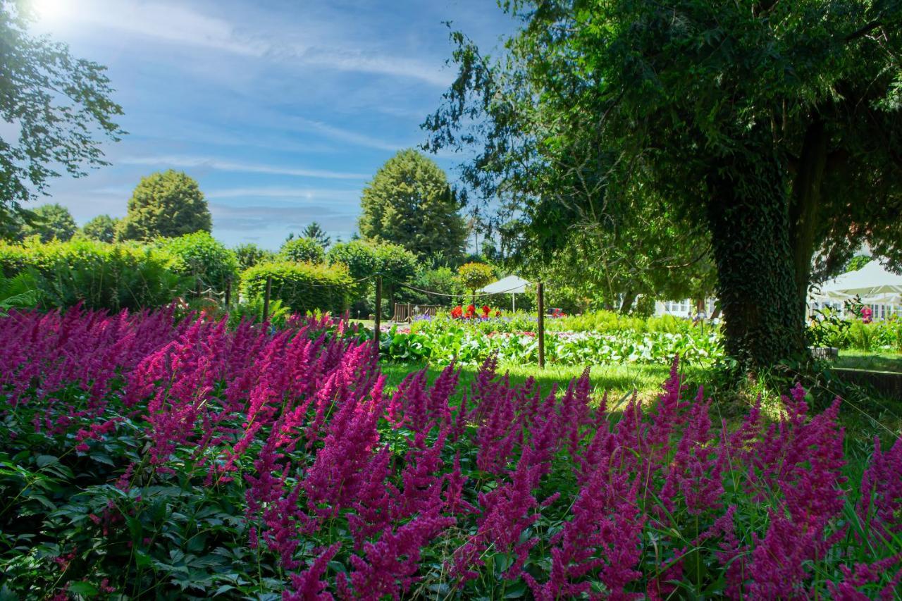 Vila Rozalia Garden Gate Avrig Zewnętrze zdjęcie